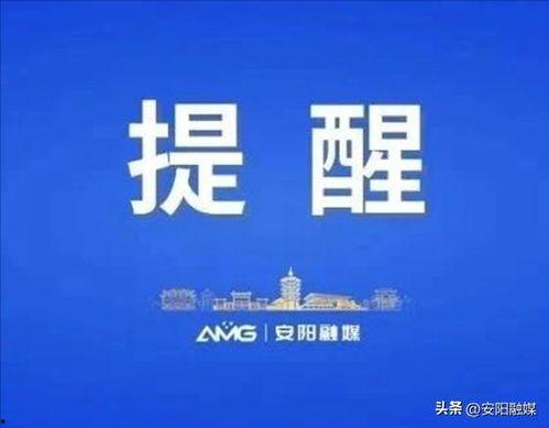头条学院的成长日记解析,从入门到精通的蜕变之路