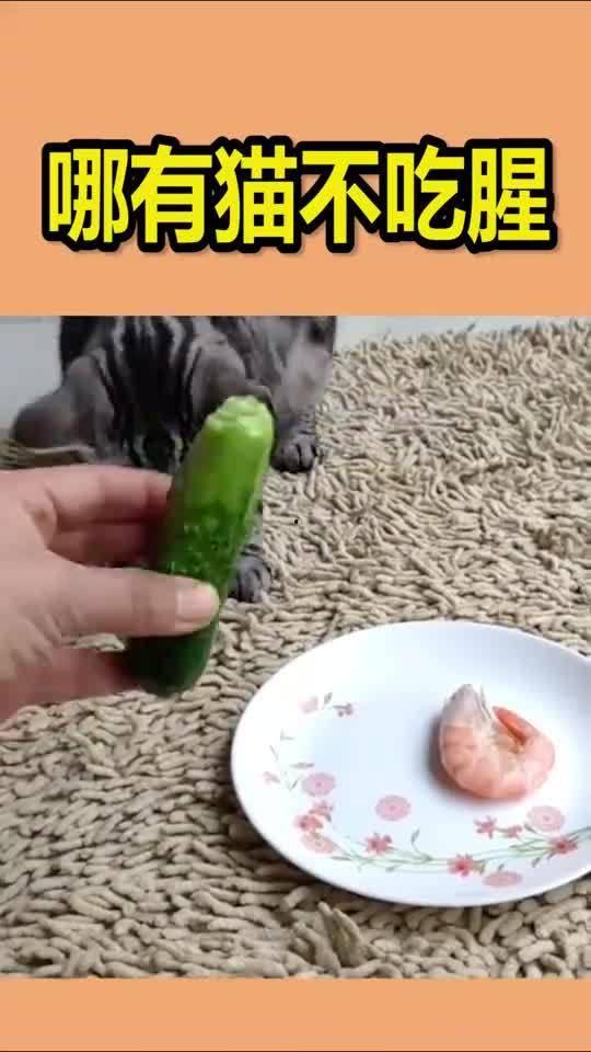 吃自己的瓜吃不到,揭秘“吃自己的瓜吃不到”的尴尬真相