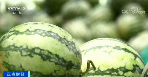 深圳老师瓜,揭秘教育界的风云事件