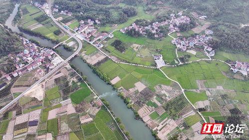 麻阳县青山镇新闻头条,聚焦乡村振兴新篇章，青山镇发展成果喜人