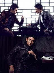 明星声音大揭秘视频,音色背后的秘密大公开